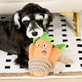 HugSmart Puppy Garden – Carrot Bunch