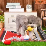 HugSmart Puppy Garden– Garden Gnomes