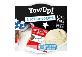 YowUp! Frozen Yogurt Hot Dog with Cheese