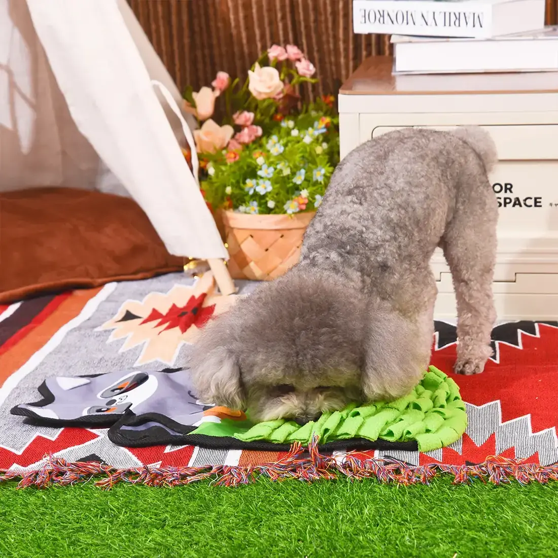 HugSmart Raccoon Buddies – Raccoon Snuffle Mat