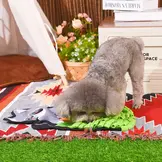 HugSmart Raccoon Buddies – Raccoon Snuffle Mat