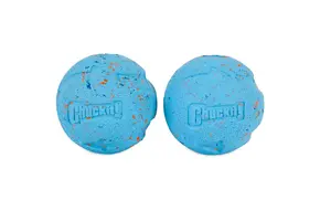 Chuckit! Rebounce Fetch Ball Medium 2-pack