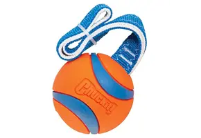Chuckit! Ultra Tug
