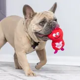 Huxley & Kent Lulubelles Tiny Tuff Love Bugs