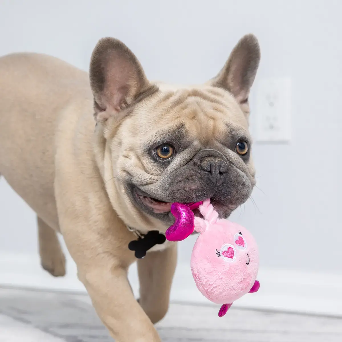 Huxley & Kent Lulubelles Tiny Tuff Love Bugs