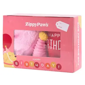 ZippyPaws Pup Birthday Box Pink