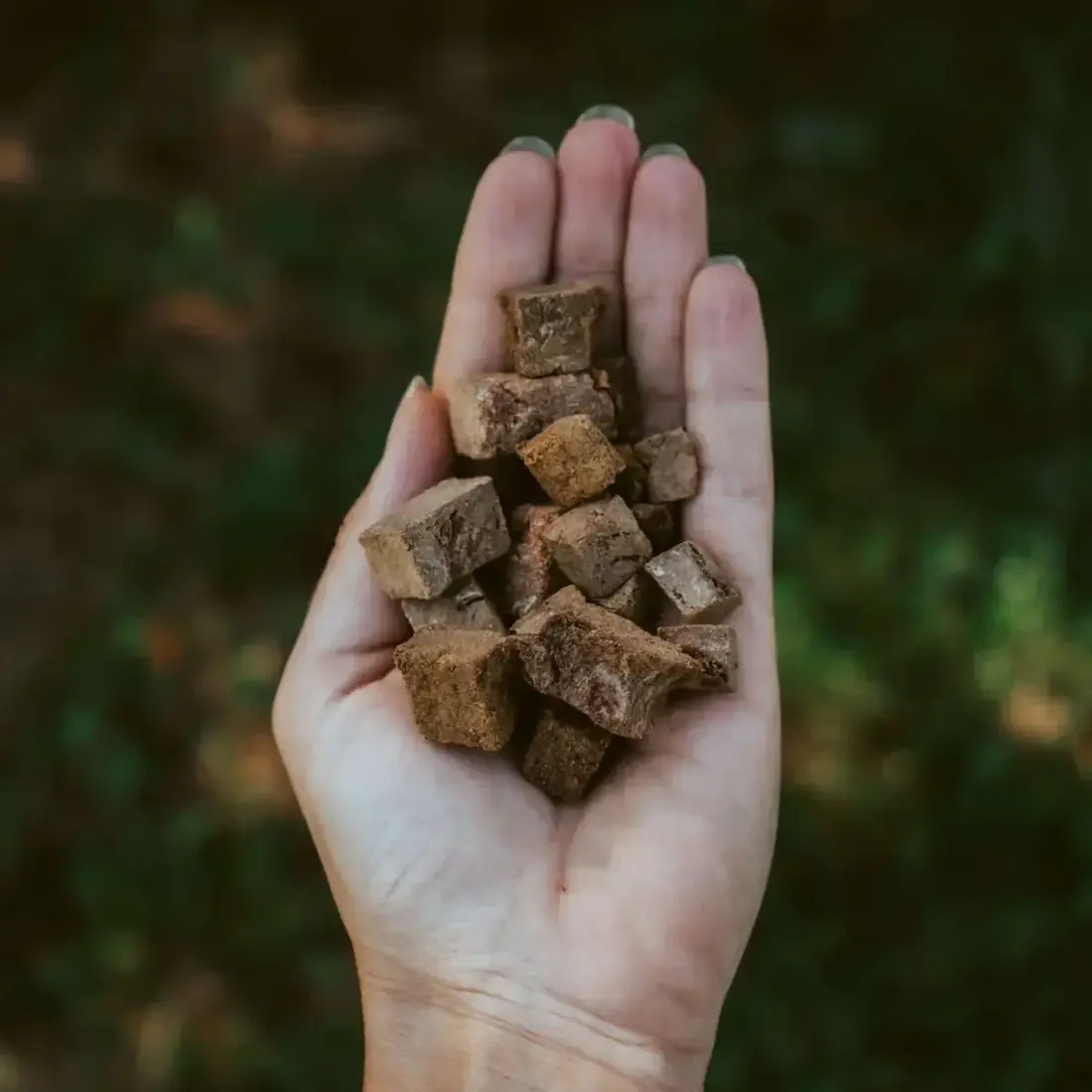 Hokuō® Extra Elanden Lever