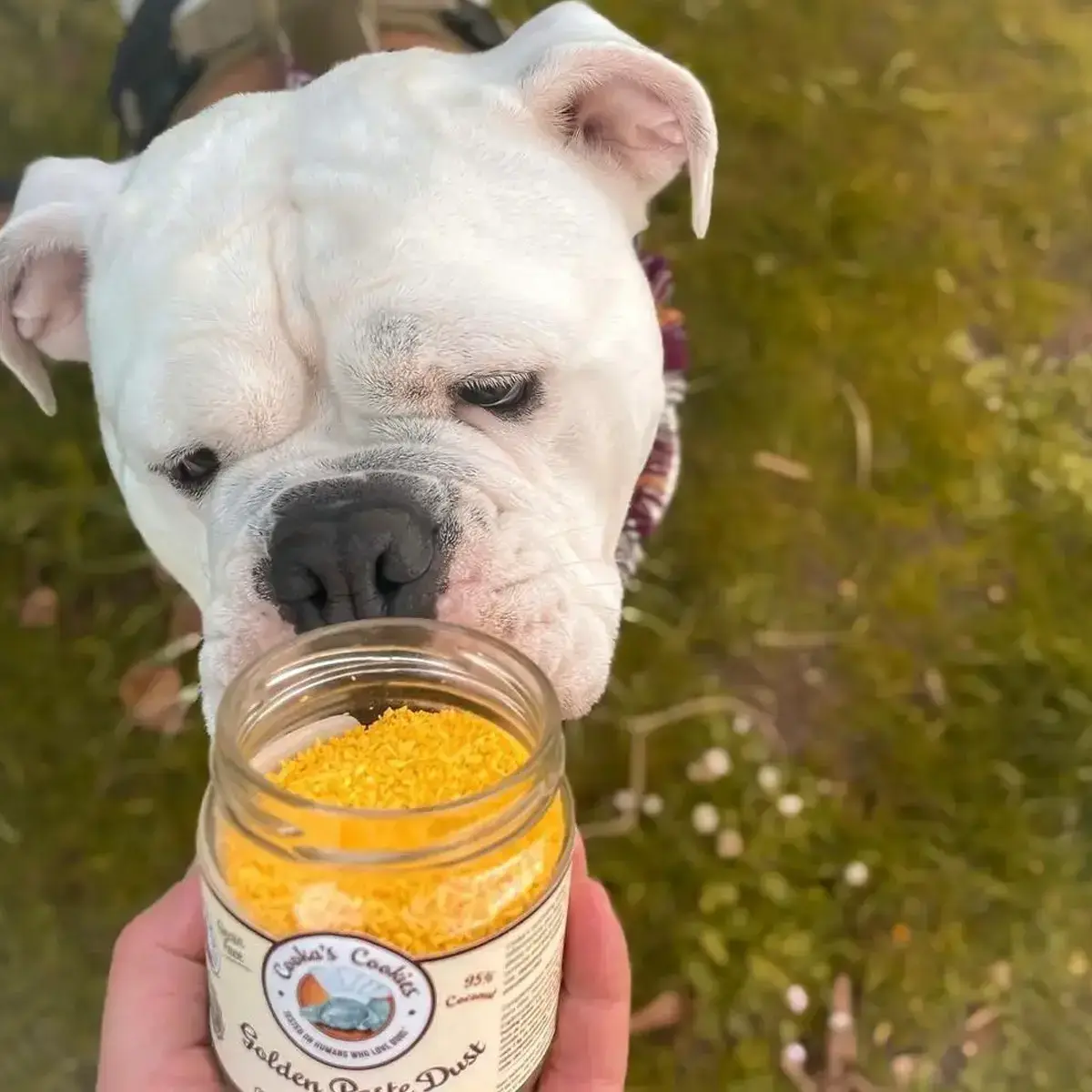 Cooka’s Cookies Golden Paste Magic Dust