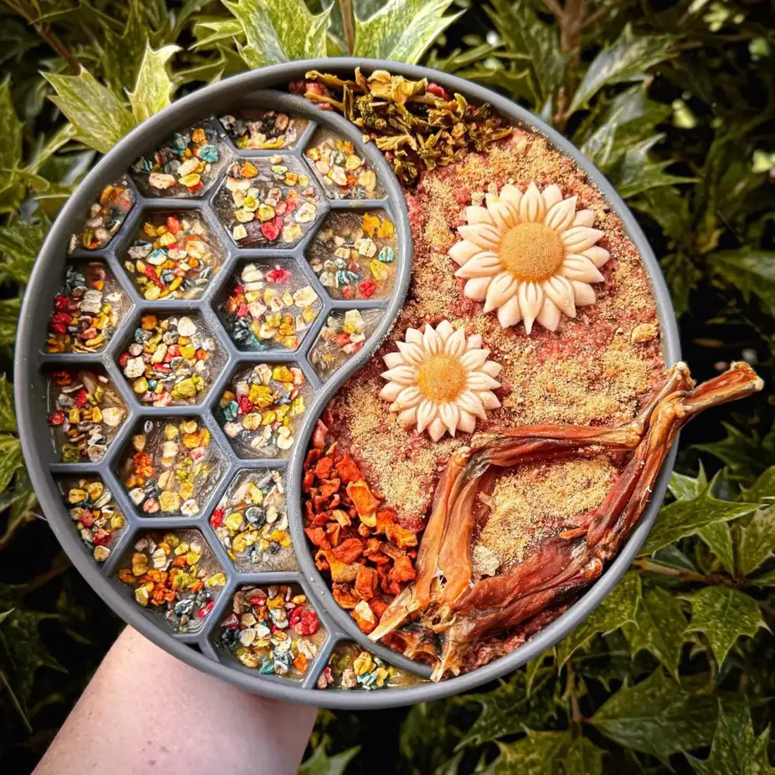 Cooka’s Cookies Rainbow Dogfetti