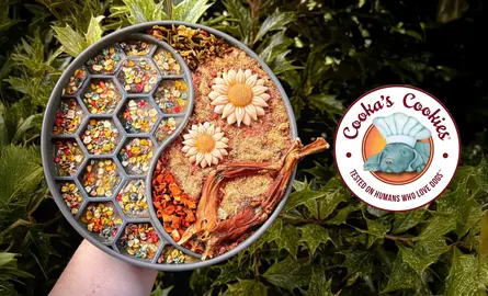 Nieuw:  Cooka’s Cookies Voedingssupplementen en Toppings