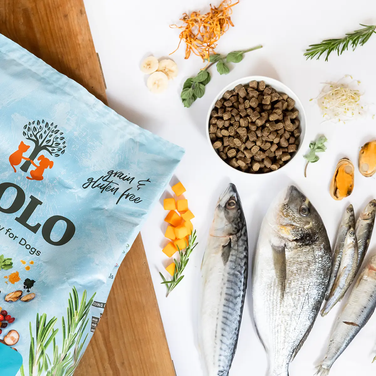 Ydolo Healthy & Pure Semi-Moist Wild Fish