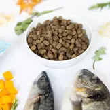 Ydolo Healthy & Pure Semi-Moist Wild Fish