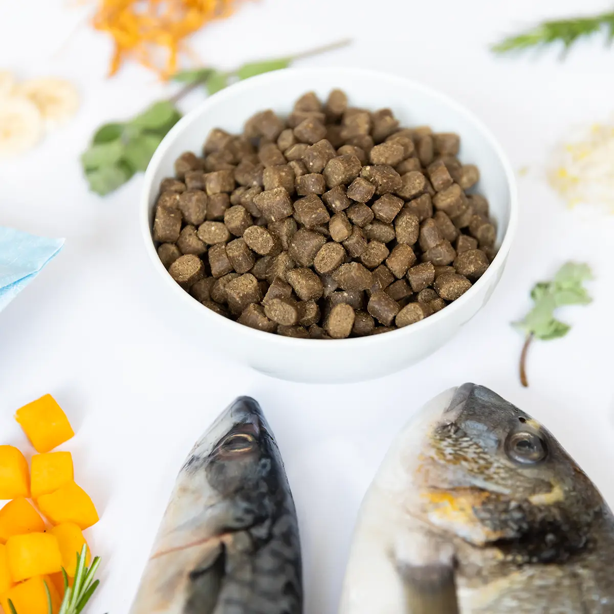 Ydolo Healthy & Pure Semi-Moist Wild Fish