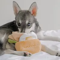 Pups & Bubs Pita Pocket Nosework Toy