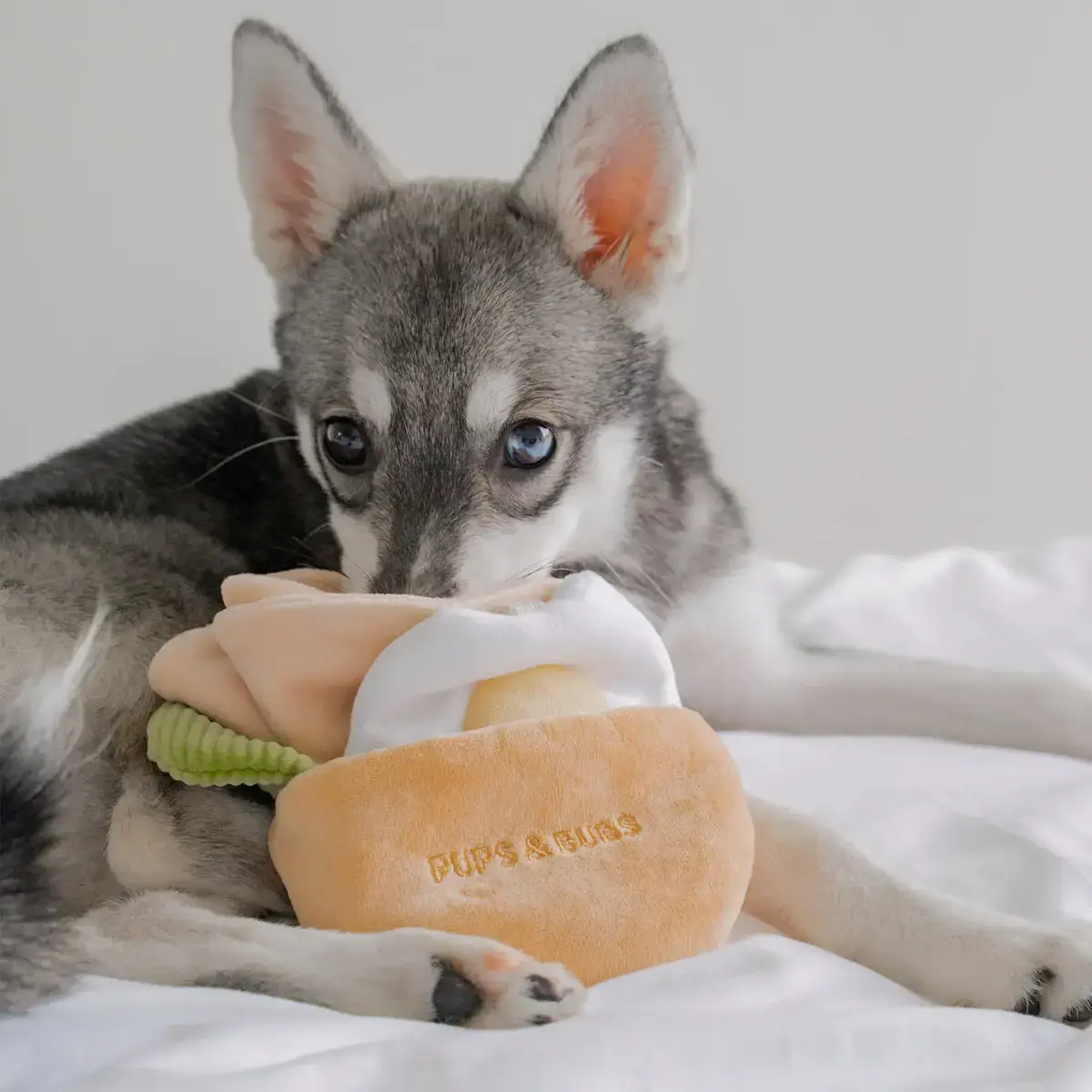 Pups & Bubs Pita Pocket Nosework Toy