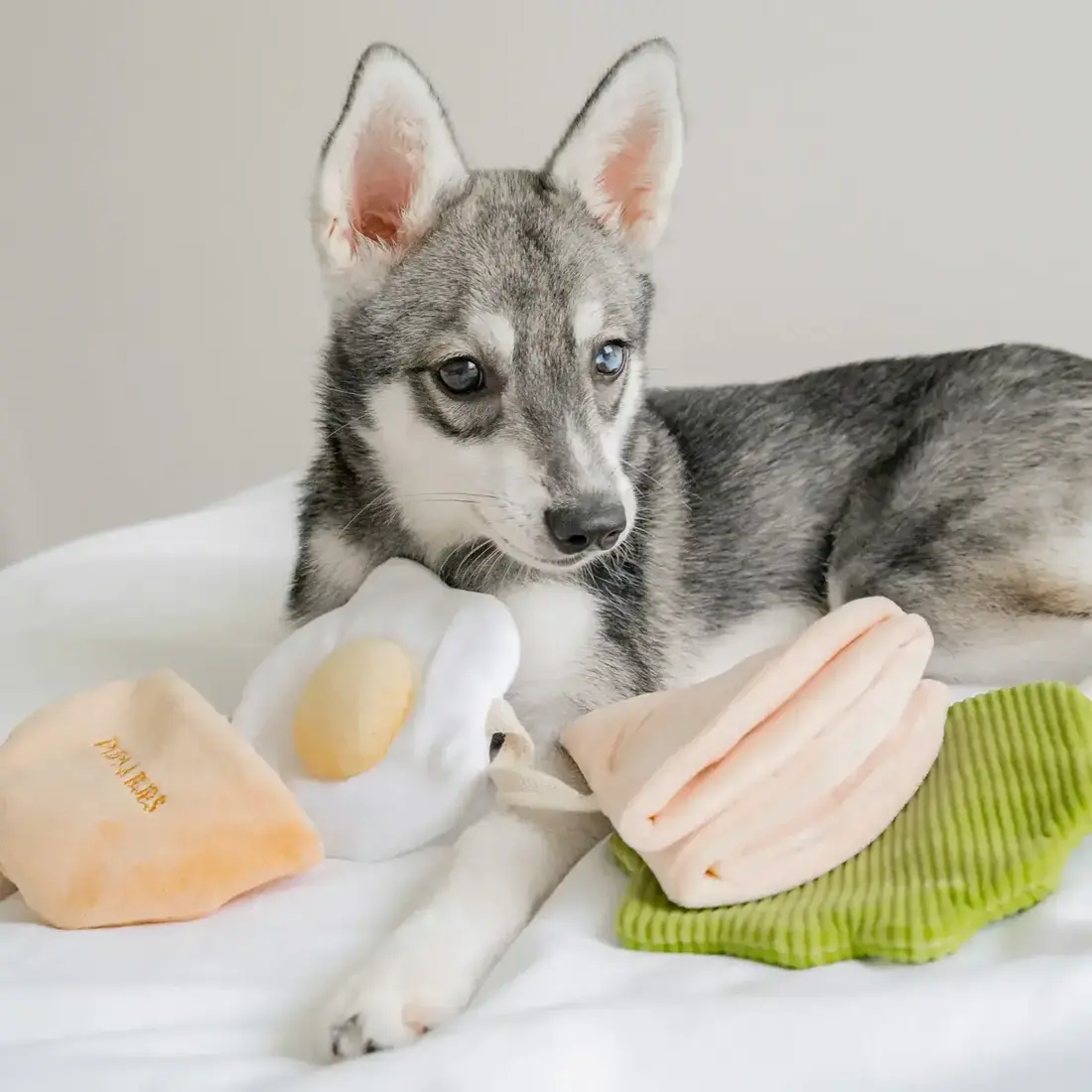 Pups & Bubs Pita Pocket Nosework Toy