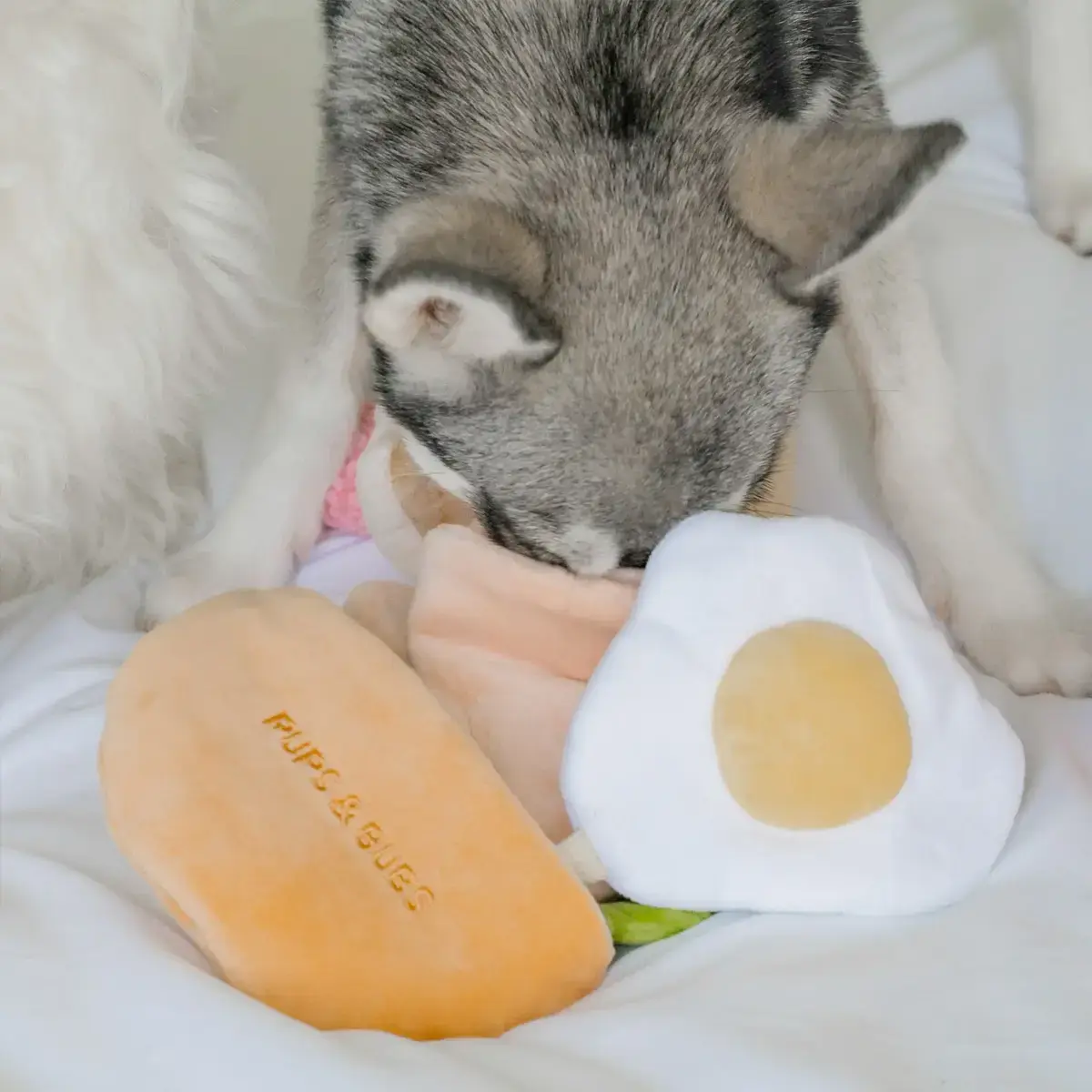 Pups & Bubs Pita Pocket Nosework Toy