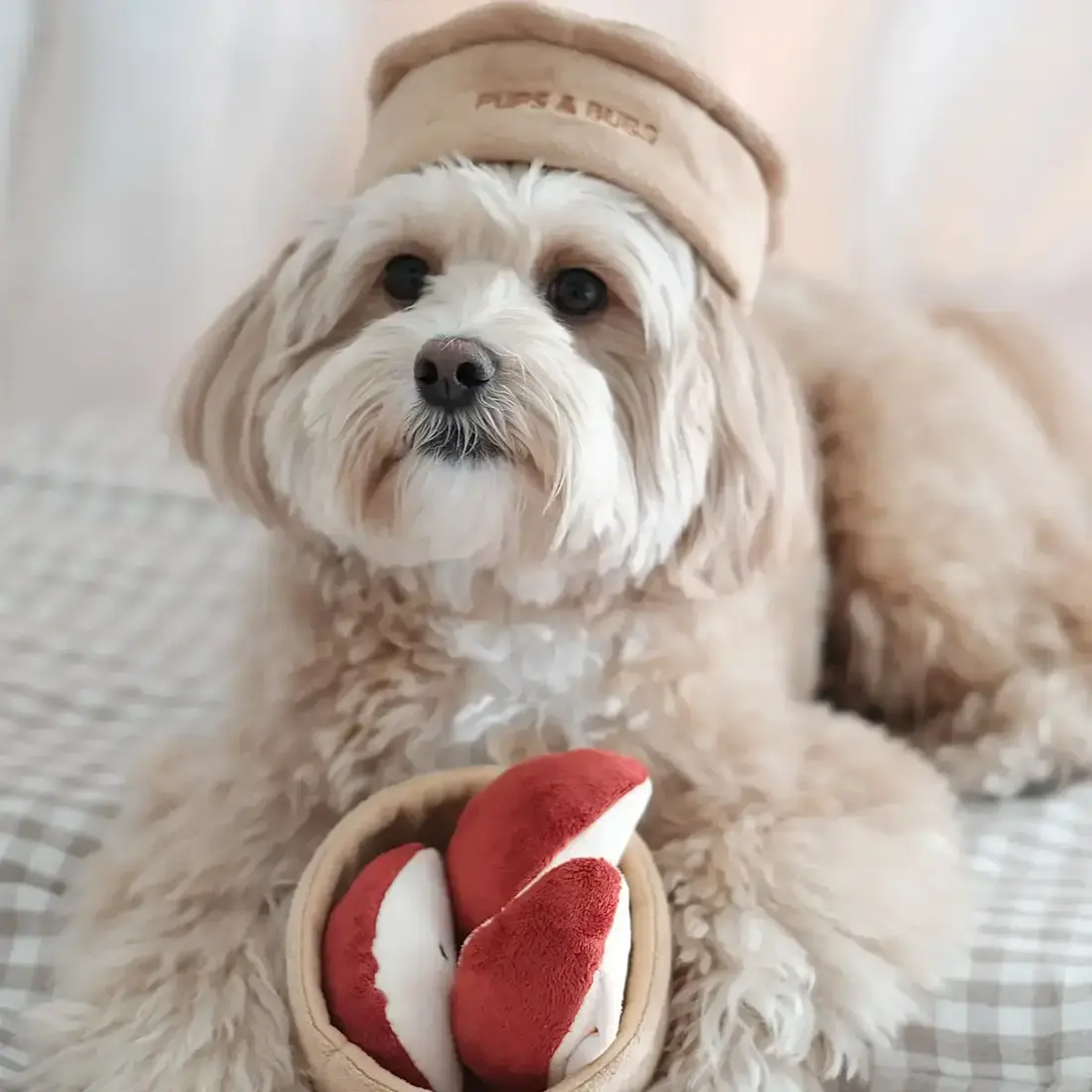 Pups & Bubs Apple Pie Nosework Toy