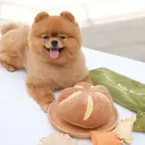 Pups & Bubs Cheesy Bread Nosework Toy