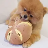 Pups & Bubs Cheesy Bread Nosework Toy