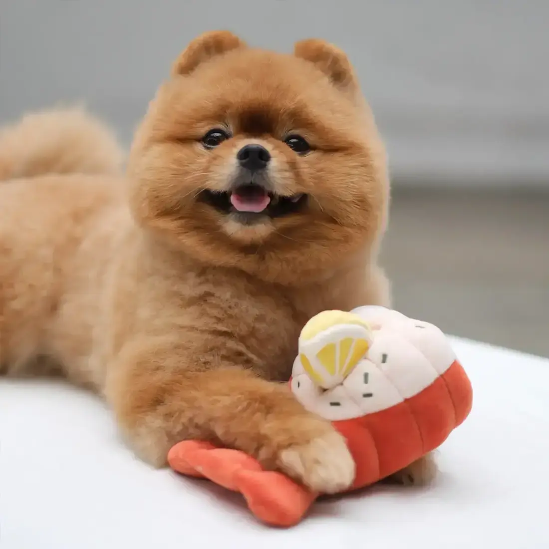 Pups & Bubs Grilled Lobster Nosework Toy