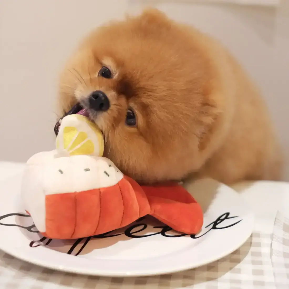 Pups & Bubs Grilled Lobster Nosework Toy