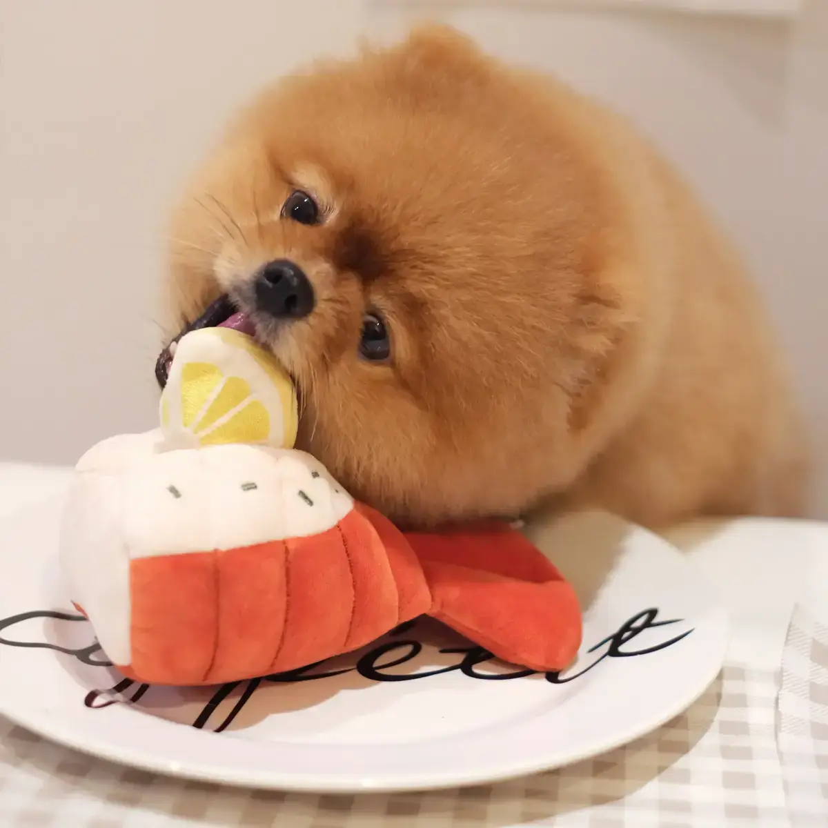 Pups & Bubs Grilled Lobster Nosework Toy