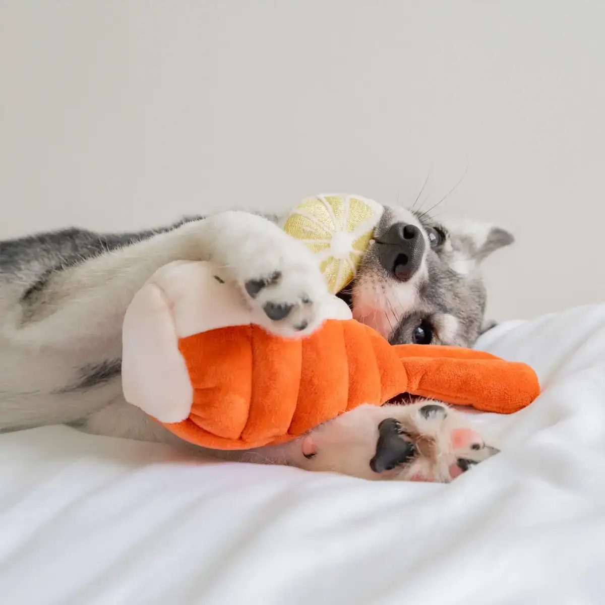 Pups & Bubs Grilled Lobster Nosework Toy