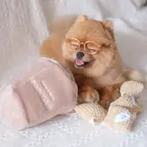 Pups & Bubs Popcorn Nosework Toy