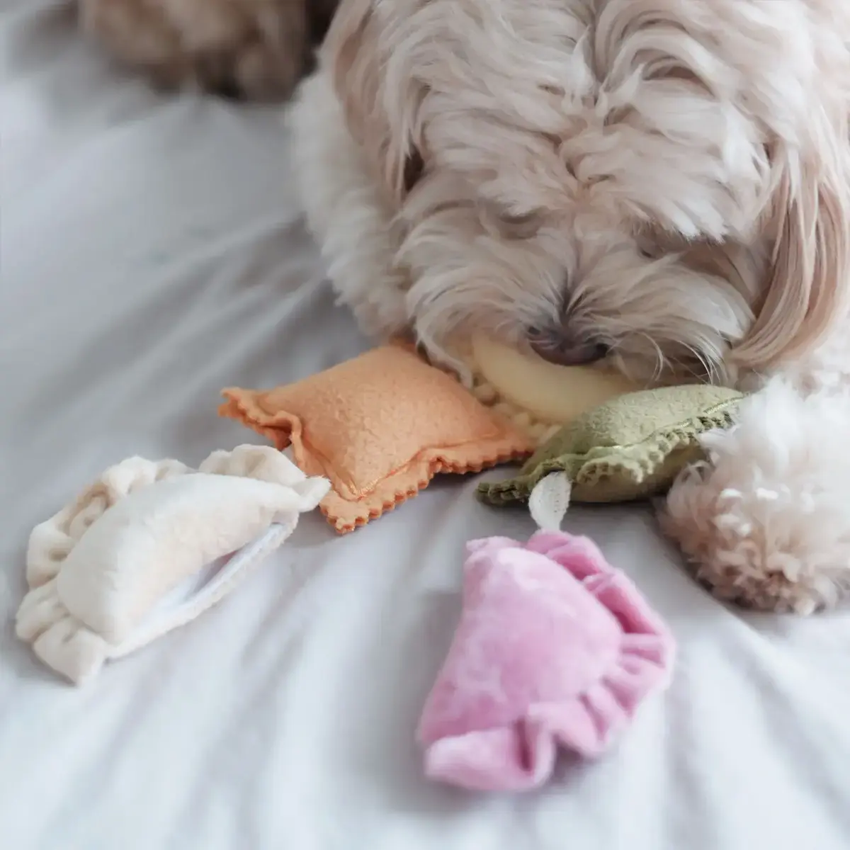 Pups & Bubs Ravioli Nosework Toy