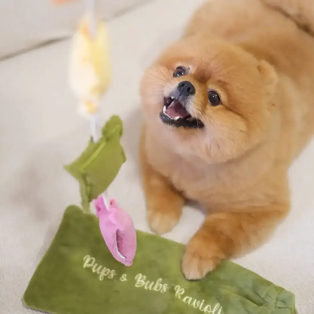 Pups & Bubs Ravioli Nosework Toy