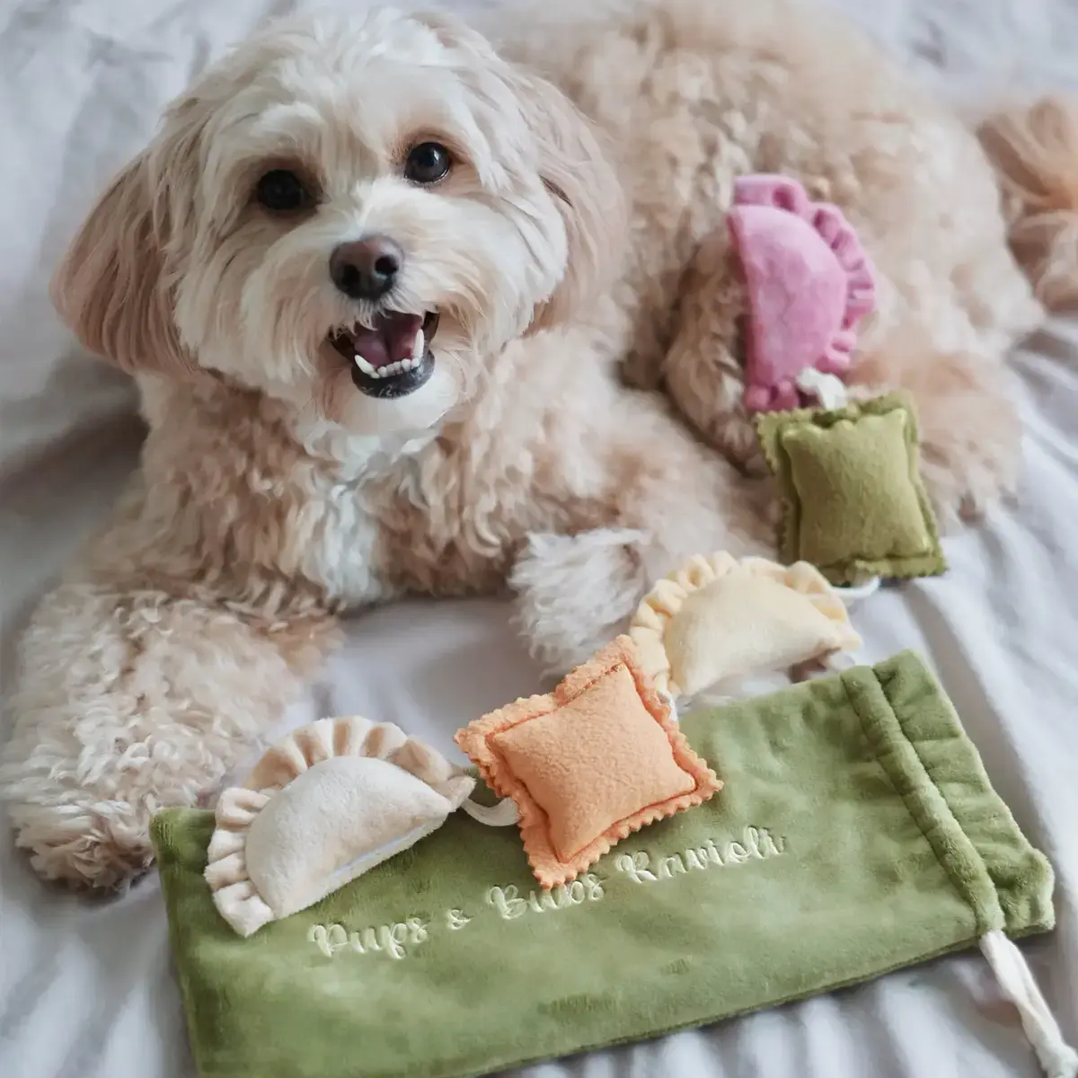 Pups & Bubs Ravioli Nosework Toy