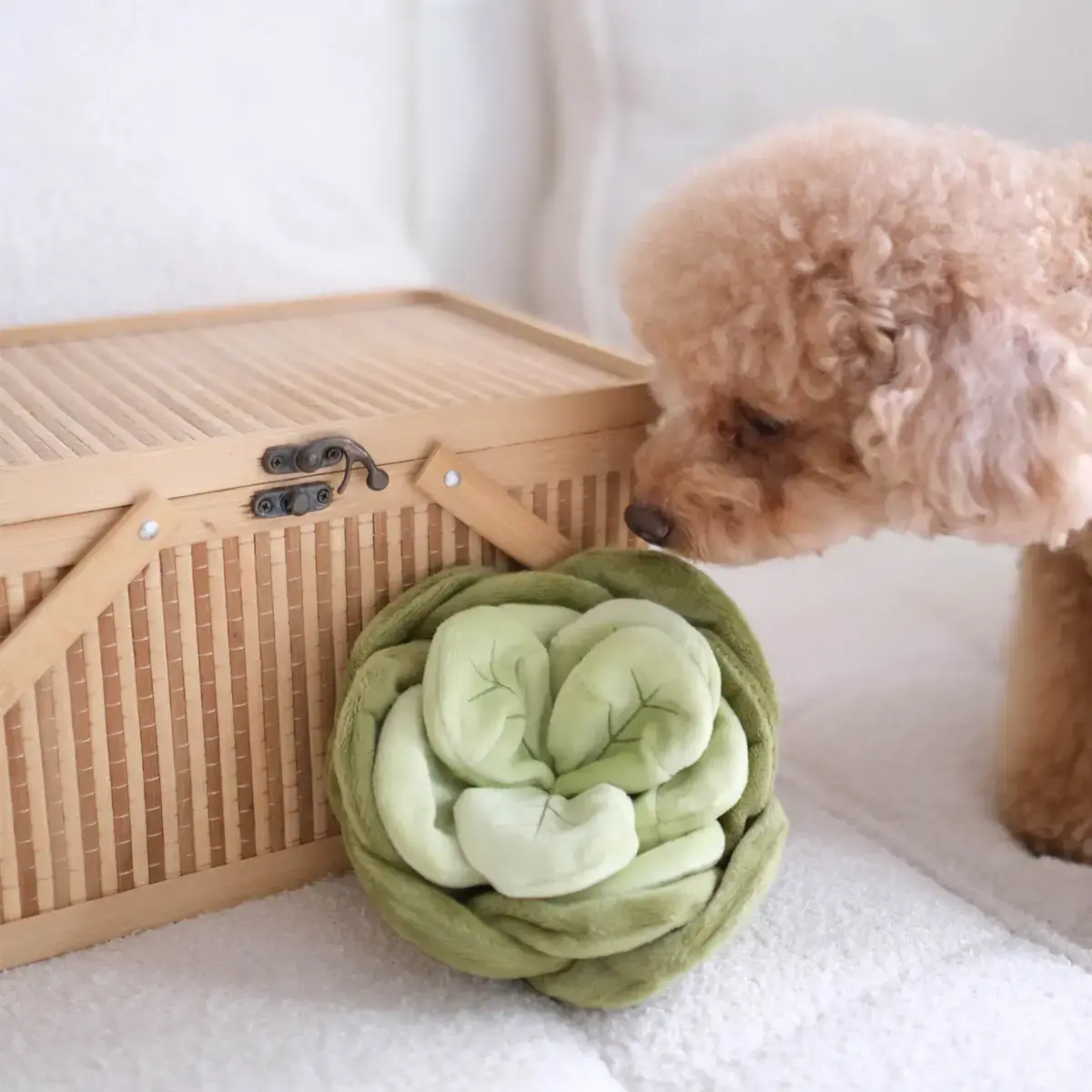 Pups & Bubs Snuffle Cabbage Nosework Toy