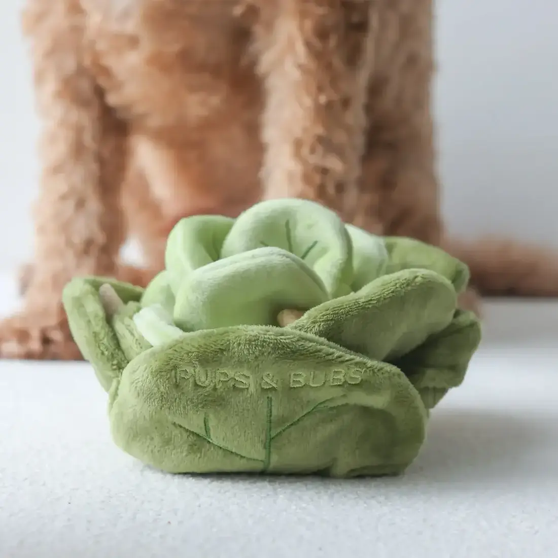 Pups & Bubs Snuffle Cabbage Nosework Toy
