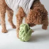 Pups & Bubs Snuffle Cabbage Nosework Toy