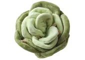 Pups & Bubs Snuffle Cabbage Nosework Toy