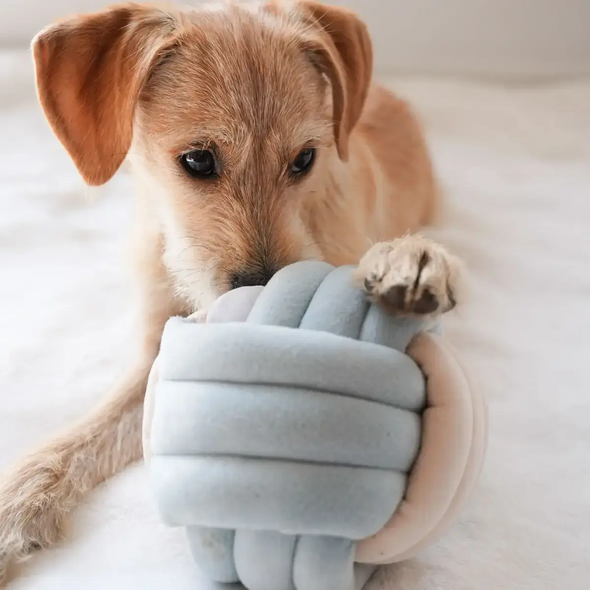 Pups & Bubs Snuffle Knot Nosework Toy