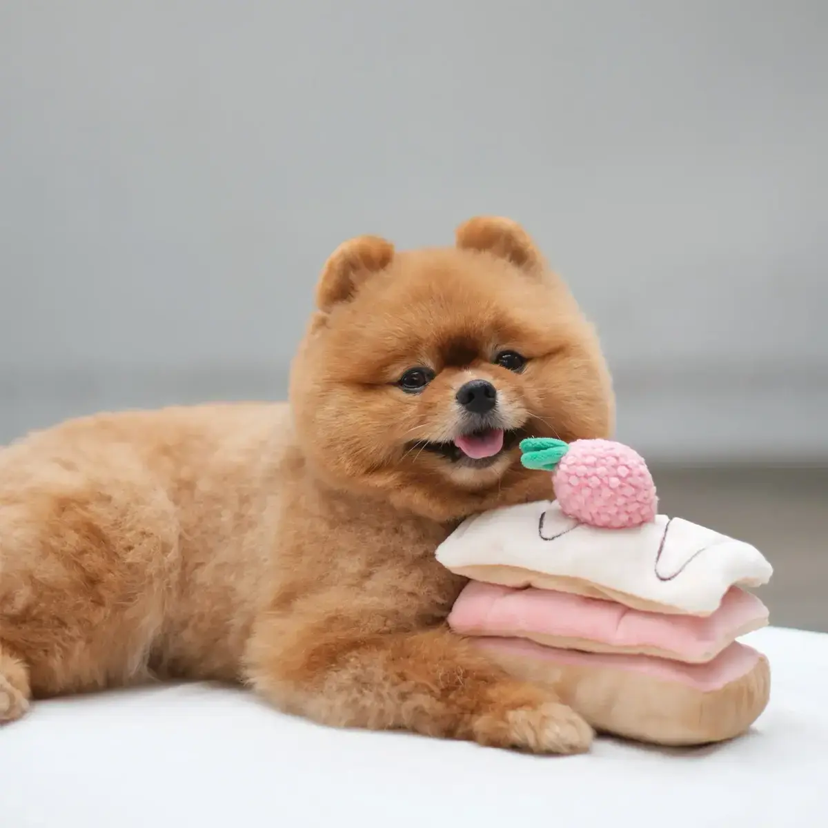 Pups & Bubs Strawberry Mille-Feuille Nosework Toy