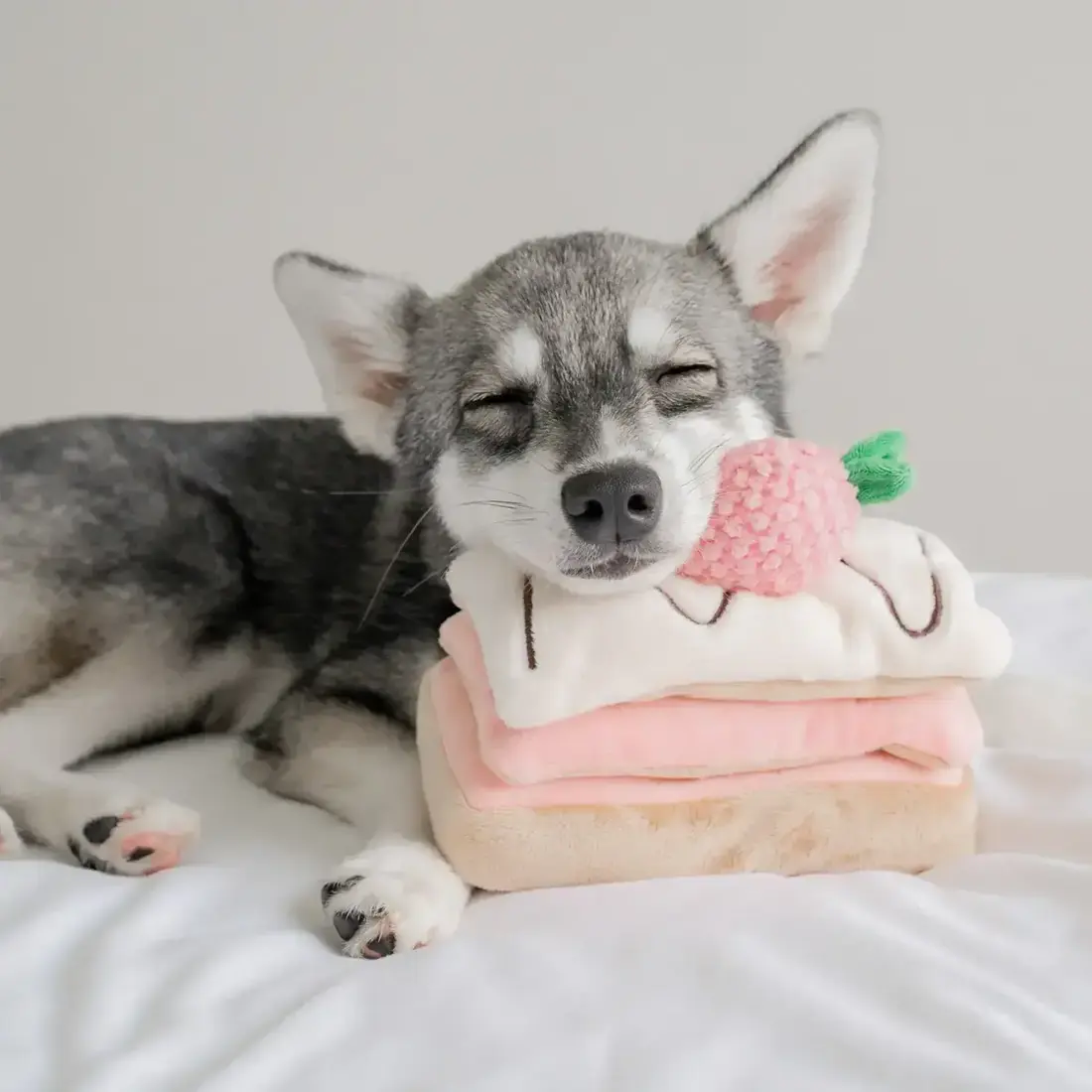 Pups & Bubs Strawberry Mille-Feuille Nosework Toy