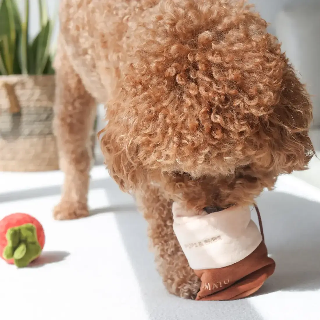 Pups & Bubs Tomato Soup Nosework Toy