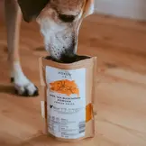 Hokuō® Duindoornpoeder Gevriesdroogd