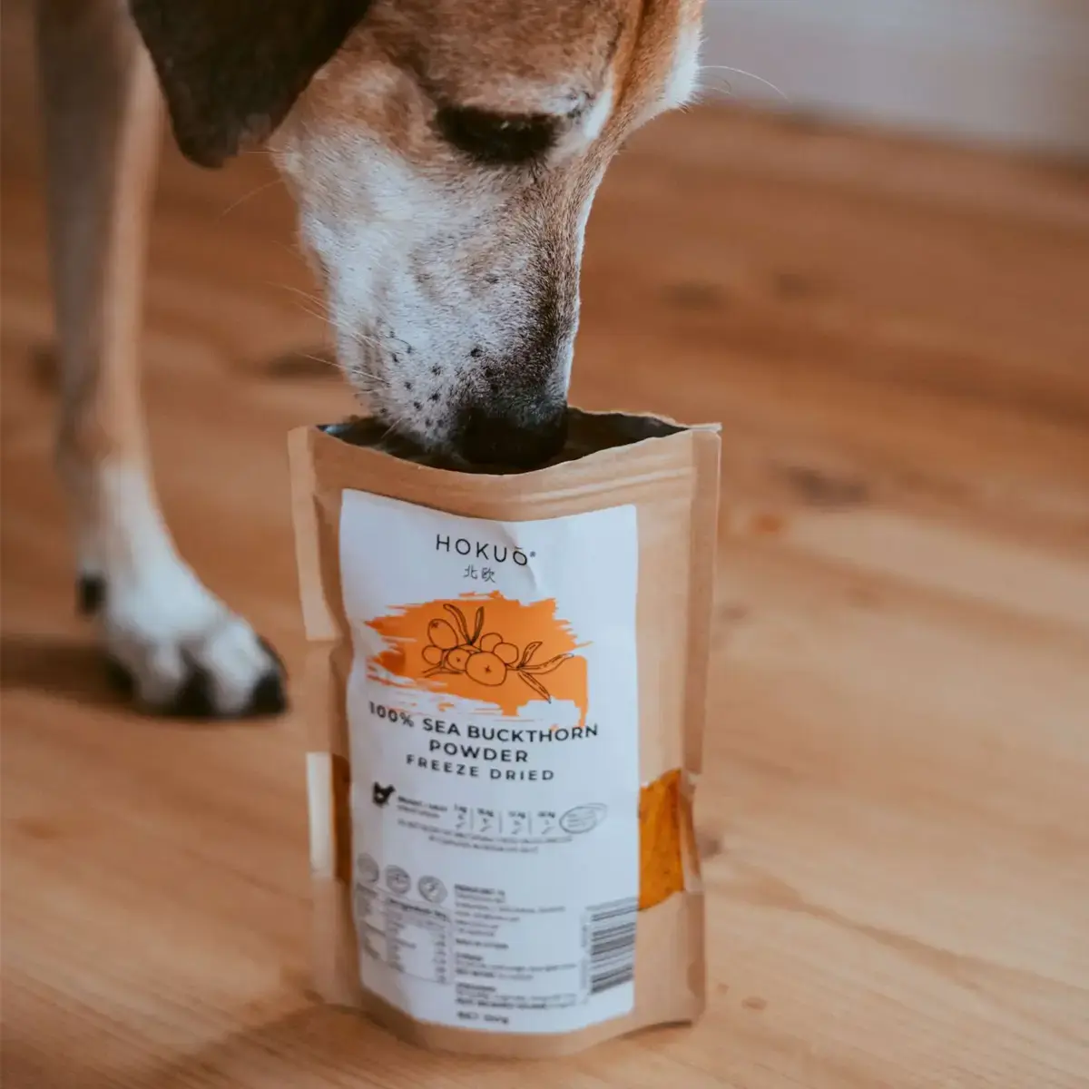 Hokuō® Duindoornpoeder Gevriesdroogd