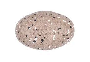 ZippyPaws Air Tuff – Football