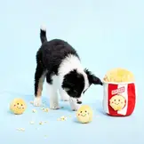 ZippyPaws Burrow Popcorn Bucket