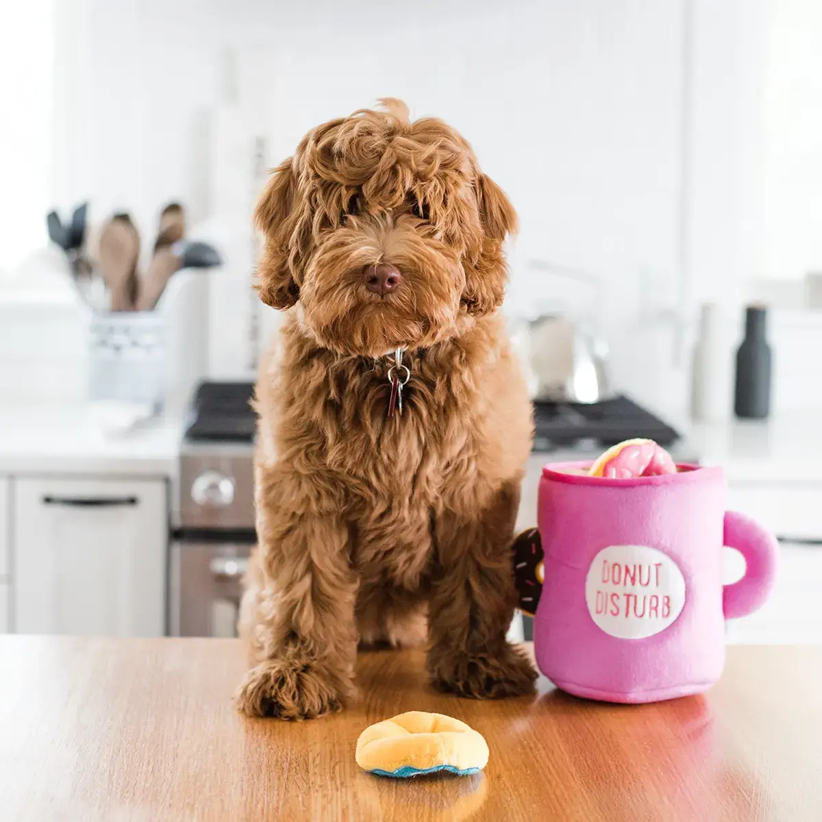 ZippyPaws Burrow Coffee and Donutz