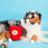 ZippyPaws Burrow Chicken Bucket