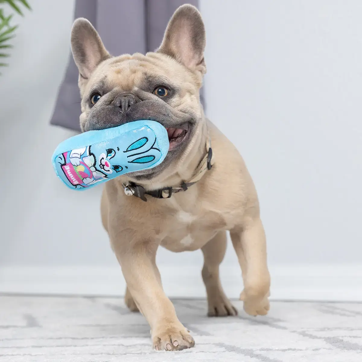 Huxley & Kent Lulubelles Tiny Tuff Funny Bunnies