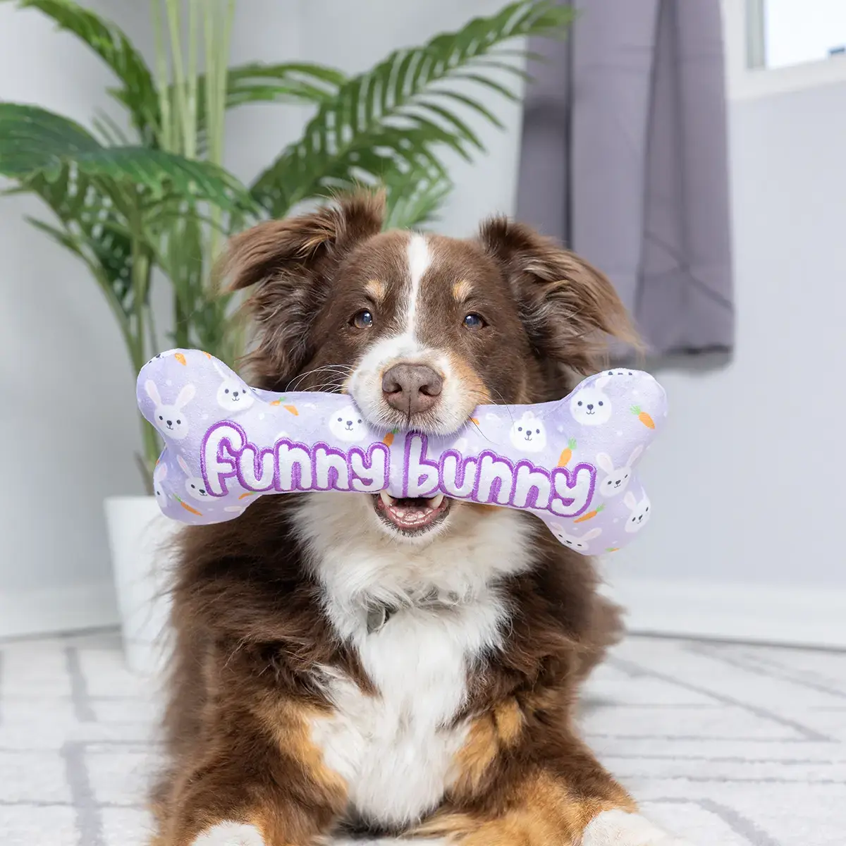 Huxley & Kent Lulubelles Funny Bunny Bone