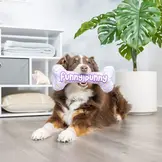 Huxley & Kent Lulubelles Funny Bunny Bone