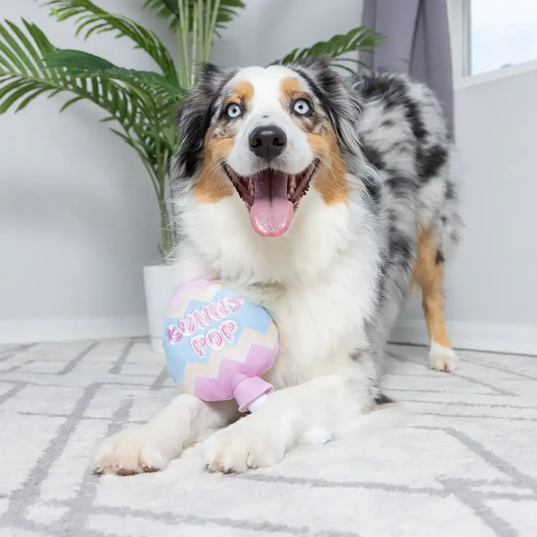 Huxley & Kent Lulubelles Bunny Pop